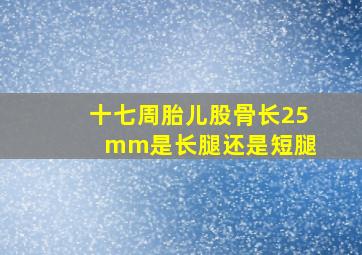 十七周胎儿股骨长25 mm是长腿还是短腿